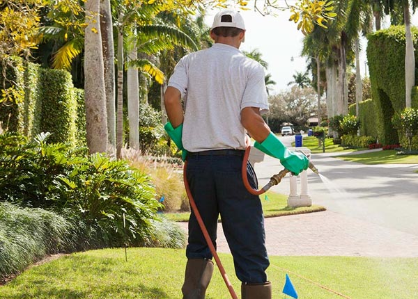About Milton IN Pest Control